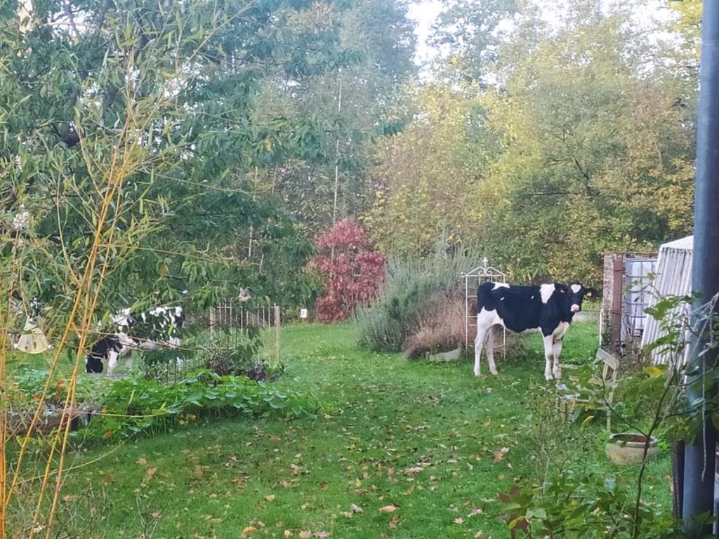 Maison d'hôtes La Bruyere du Coq Stables à Sart-Dames-Avelines Extérieur photo